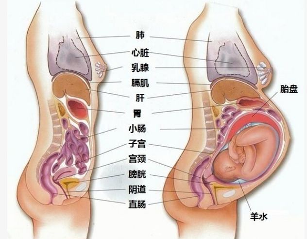 最新资讯 第69页